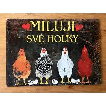Plechová cedule Cedule MILUJI SVÉ HOLKY 40x28,5 cm