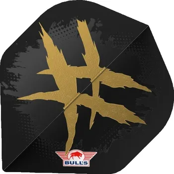 Příslušenství pro šipky Bull's NL Letky Player 100 - Richard Veenstra - BU-51054