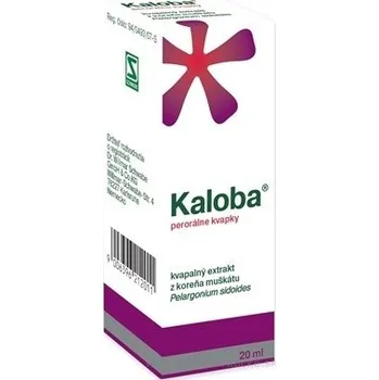Lék Kaloba gtt por 1x20 ml