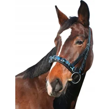 Koňská ohlávka Bezudidlová Ohlávka, kožená, černá, velikost Cob, Covalliero