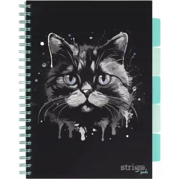 Sešit Linkovaný sešit Strigo B5, 100 listů