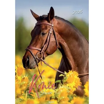 Kalendář Malý nástěnný kalendář se spirálou KSMS-5 Koně Avanti