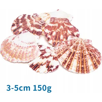 Dekorace do akvária Přírodní mušle 3-5cm do akvária, lastury hřebenatky vícebarevné, SADA=150g
