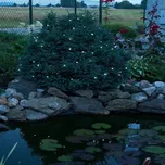 Vánoční osvětlení na stromeček DecoLED venkovní 5,2 m 21 - 50 světýlek