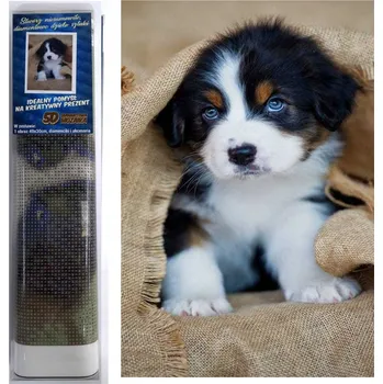 Obraz DIAMANTOVÁ MOZAIKA - PEJSEK V PLÁTNĚ