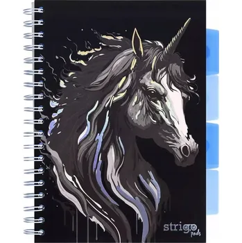 Linkovaný sešit Strigo B5, 100 listů