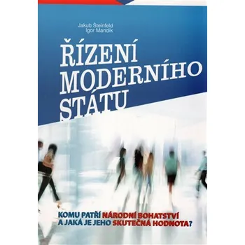 Řízení moderního státu - Igor Mandík, Šteinfeld Jakub