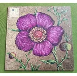 LP Markéta Irglová - Lila, NOVÁ!! 2022