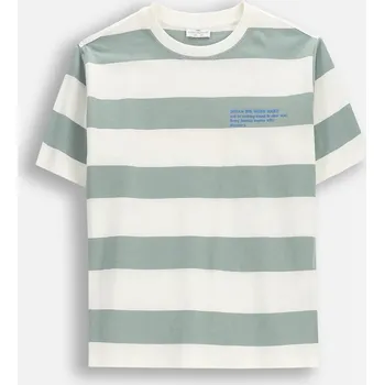 Dětská móda Dětské tričko chlapecké Bavlna s proužky, velikost 140, značka Coccodrillo WC6