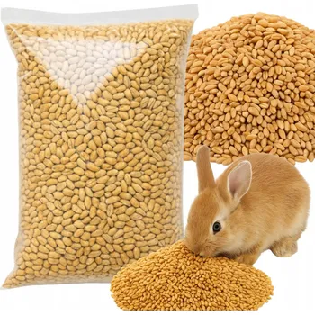 Krmivo pro ptáka KRMNÁ PŠENICE 1KG PŘÍRODNÍ krmivo, obilí pro drůbež, ptáky, sklizeň 2025