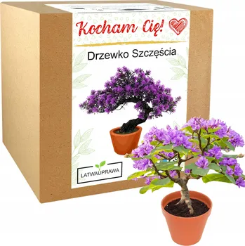 Obraz Dárek na Valentýna pro manželova přítele pro dívku Strom štěstí