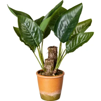 umělá květina Gasper Umělá rostlina Filodendron, 45 cm 679832