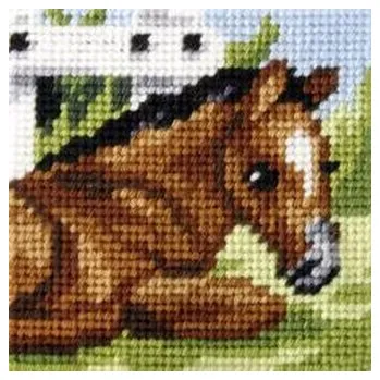 Set školních potřeb Haft. Moje pierwsze wyszywanie - Źrebaczek