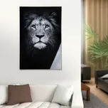 Gilde Obraz Lev 844215