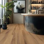 Gerflor Creation 30 Cedar Golden 1606 3,8 m²