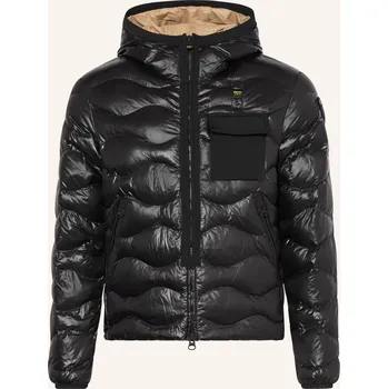 Pánská bunda Blauer Pánská Prošívaná Bunda Bryant, černá, 58