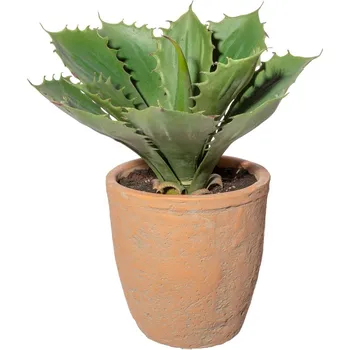umělá květina Gasper Umělá rostlina Echeveria 25 cm 473049