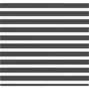 Roleta Zebra roleta černá 165x150 cm šířka látky 160,9 cm polyester