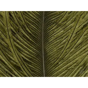 Pštrosí peří Wapsi Ostrich Herl Olive