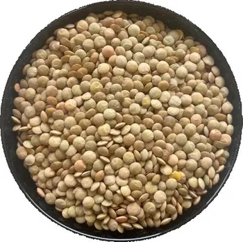 Příloha Zelená čočka Emerosa 500 g