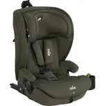 JOIE i-Irvana Max Fern