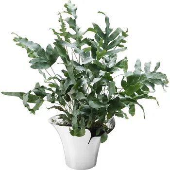 Váza Nerezový květináč BLOOM BOTANICA, 32,5 cm - Georg Jensen