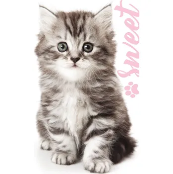 Ručník Froté ručníček Kocourek Mourek