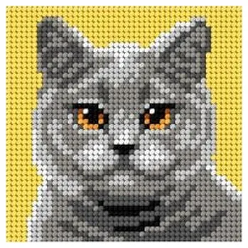 Set školních potřeb Haft. Moje pierwsze wyszywanie - Kot brytyjski