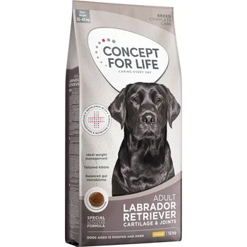 Krmivo pro psa 2x12kg Concept for Life Labrador Retriever Adult