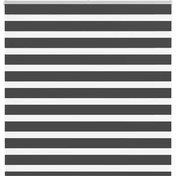 Roleta Zebra roleta černá 145x150 cm šířka látky 140,9 cm polyester