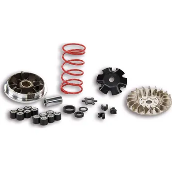 Motor pro motocykl Variátor Malossi MHR 50ccm, Minarelli M.5113161