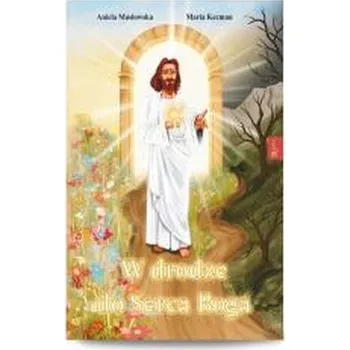 W drodze do serca - Aniela Masłowska