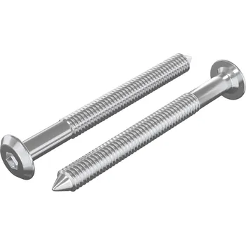 Nábytkové kování Nábytkové šrouby 2 pcs Stříbrná M6 x 60 mm Ocel