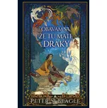 Obávam sa, že tu máte draky - Peter S. Beagle