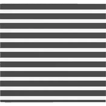 Roleta Zebra roleta černá 160x150 cm šířka látky 155,9 cm polyester