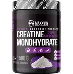 100% CREATINE MONOHYDRATE 500 g