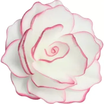 Jedlá dekorace na dort Dekorace oplatková - Růže MAXI bílá, růžový okraj 12,5 cm
