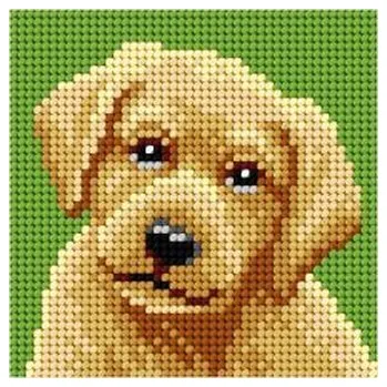 Set školních potřeb Haft. Moje pierwsze wyszywanie - Labrador