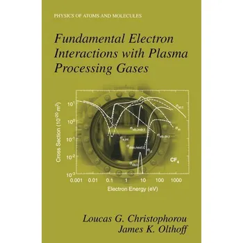 Fundamental Electron Interactions with Plasma Processing Gases - Olthoff, James K.