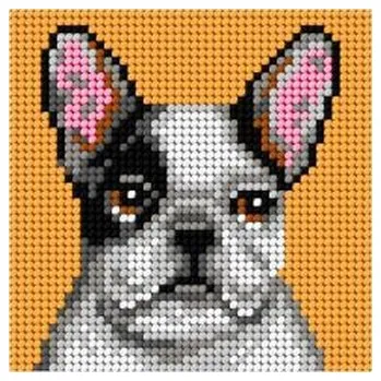 Set školních potřeb Haft. Moje pierwsze wyszywanie - Buldog