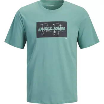 Pánské tričko Pánské velké tričko s potiskem Jack & Jones 12295973 – mátové (6XL)
