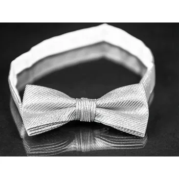 Motýlek Motýlek pánský AMJ stříbrný vzor MP032