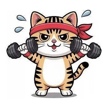 Fototapeta Nažehlovačka Termo Aplikace Nálepka na Oblečení Kočka Kotě Posilovna