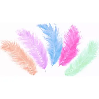 Konfeta Barevné péřové konfety na párty 50 ks (10–15 cm)