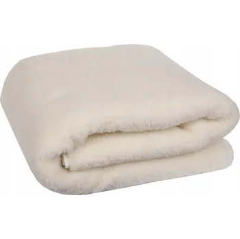 Prostěradlo Deka bbrth434t vlna 200 cm x 160 cm krémová