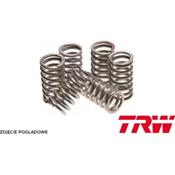 Spojková sada TRW ZF spojkové pružiny YAMAHA WRF 450 16-17, YZF 450 08-09, MT-07 700 14-17, TRACER 700 16-20, XSR 700 16-20, YFM 700 raptor 06-12, TDM 900 02-14, FZR 1000 89-95, FZS 1000 FAZER 01-05, GTS 1000 93-99, YZF 1000 R THUNDR ACE 96-02, (EBS037) (TRW ZF spojkov