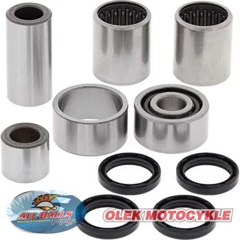 Tlumič řízení ALL BALLS sada na opravu kyvné vidlice HONDA TRX 420 07-13, TRX 500 12-13 (ALL BALLS sada na opravu kyvné vidlice HONDA TRX 420 07-13, TRX 500 12-13)