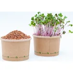 Tiny Greens Ředkvička China Rose BIO semínka na klíčení a Microgreens 50 g