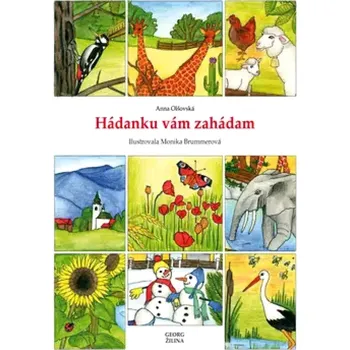 Osobní rozvoj Hádanku vám zahádam (Anna Olšovská, 2016)