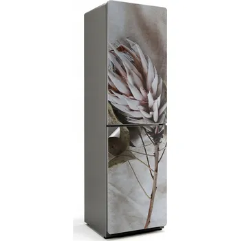 Fototapeta Dekorativní Samolepicí nálepka na ledničku Uschlá rostlina v detailu